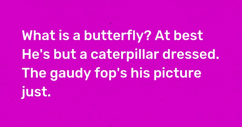 What is a butterfly? At best He's but a caterpillar dressed. The gaudy fop's his picture just.