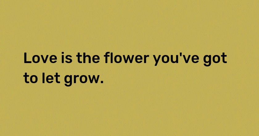 Love is the flower you've got to let grow.