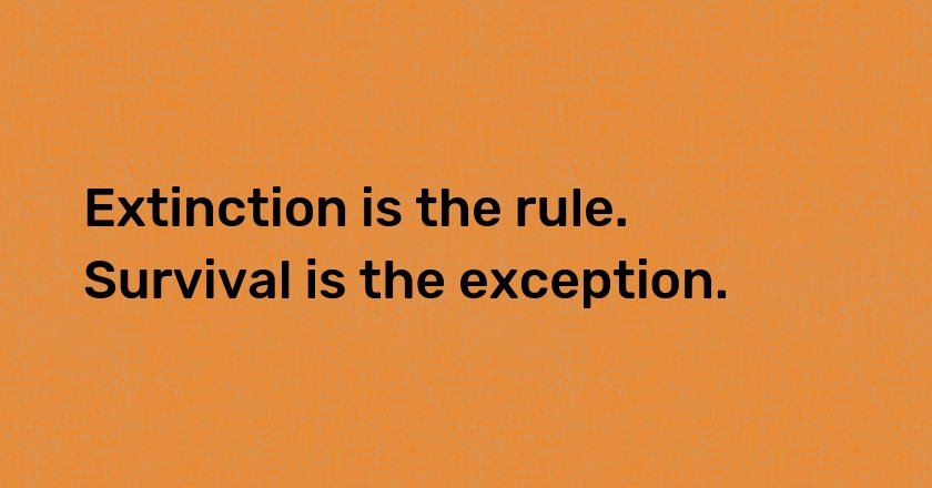 Extinction is the rule. Survival is the exception.