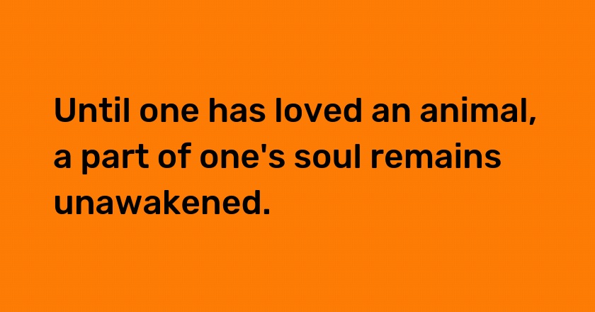 Until one has loved an animal, a part of one's soul remains unawakened.