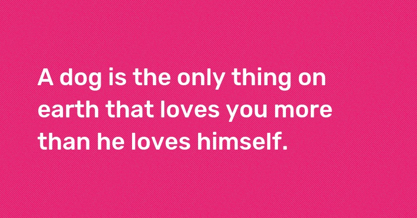 A dog is the only thing on earth that loves you more than he loves himself.