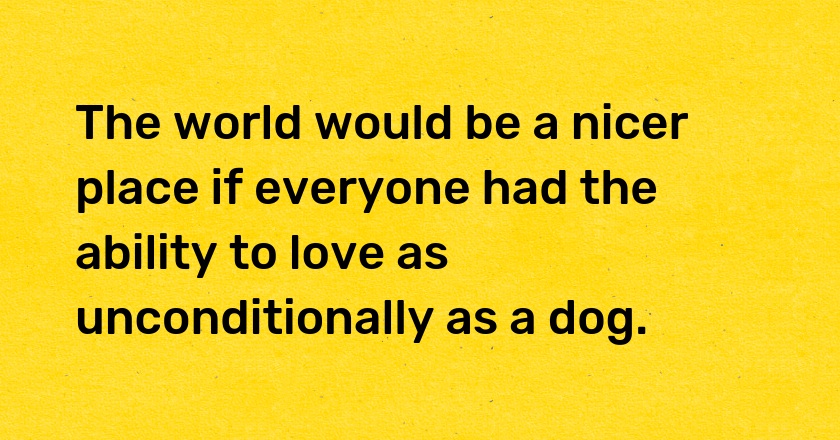 The world would be a nicer place if everyone had the ability to love as unconditionally as a dog.