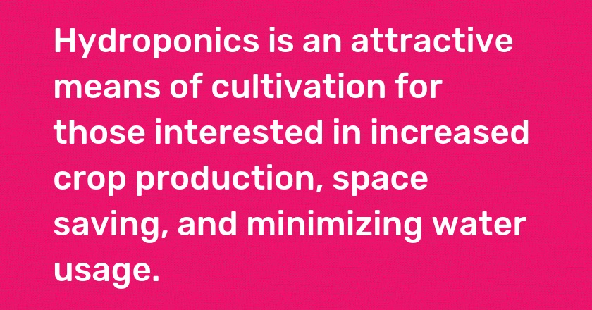 Hydroponics is an attractive means of cultivation for those interested in increased crop production, space saving, and minimizing water usage.