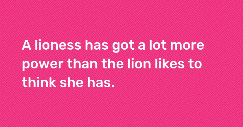 A lioness has got a lot more power than the lion likes to think she has.