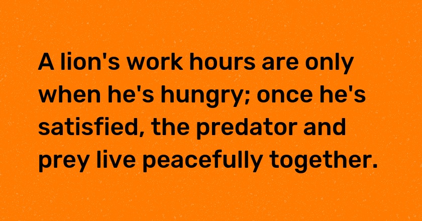 A lion's work hours are only when he's hungry; once he's satisfied, the predator and prey live peacefully together.