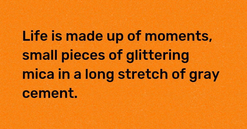 Life is made up of moments, small pieces of glittering mica in a long stretch of gray cement.