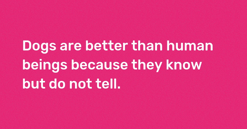 Dogs are better than human beings because they know but do not tell.