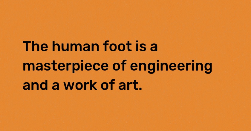 The human foot is a masterpiece of engineering and a work of art.