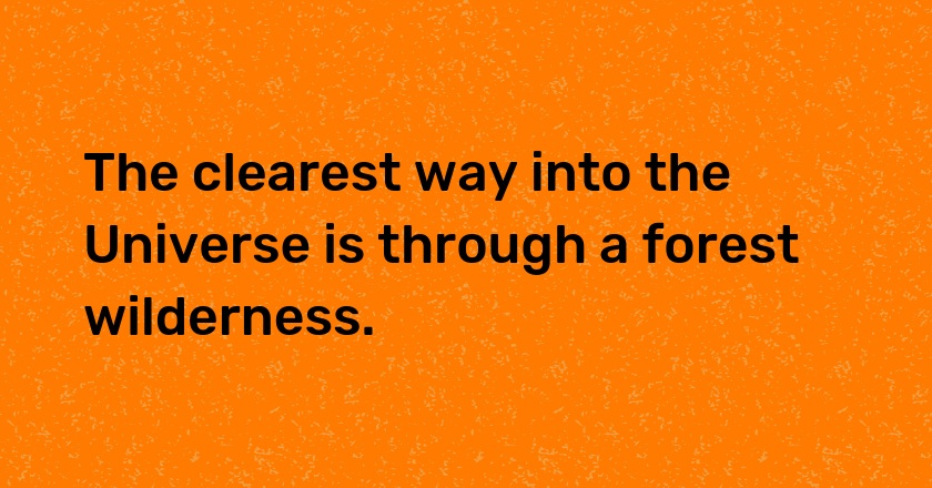 The clearest way into the Universe is through a forest wilderness.