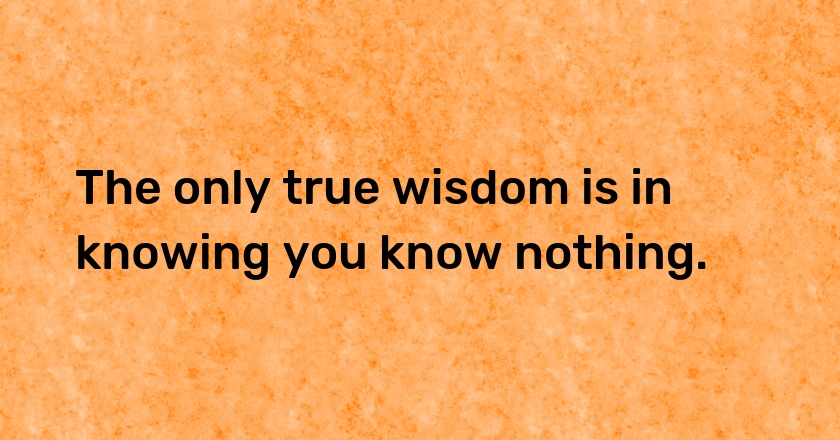 The only true wisdom is in knowing you know nothing.