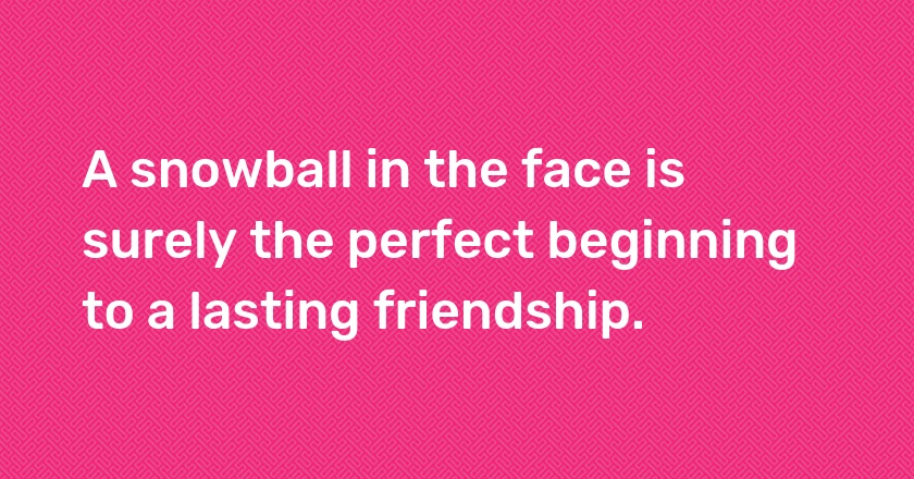 A snowball in the face is surely the perfect beginning to a lasting friendship.