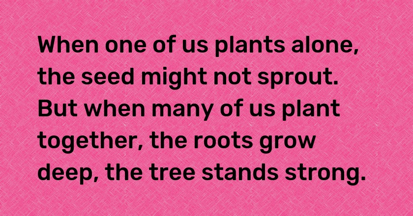 When one of us plants alone, the seed might not sprout. But when many of us plant together, the roots grow deep, the tree stands strong.