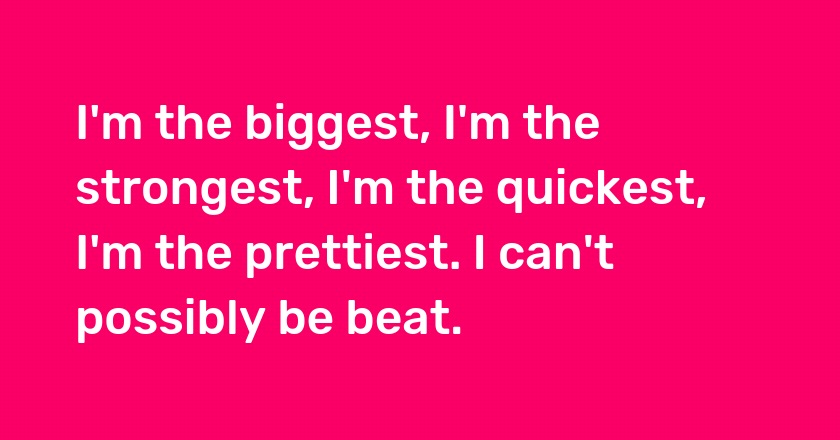 I'm the biggest, I'm the strongest, I'm the quickest, I'm the prettiest. I can't possibly be beat.