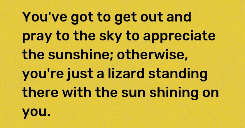 You've got to get out and pray to the sky to appreciate the sunshine; otherwise, you're just a lizard standing there with the sun shining on you.