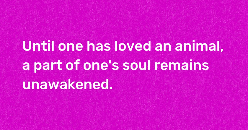 Until one has loved an animal, a part of one's soul remains unawakened.