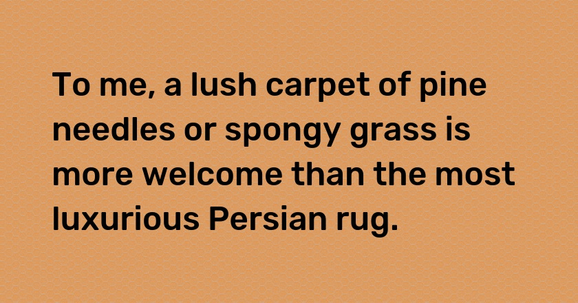 To me, a lush carpet of pine needles or spongy grass is more welcome than the most luxurious Persian rug.