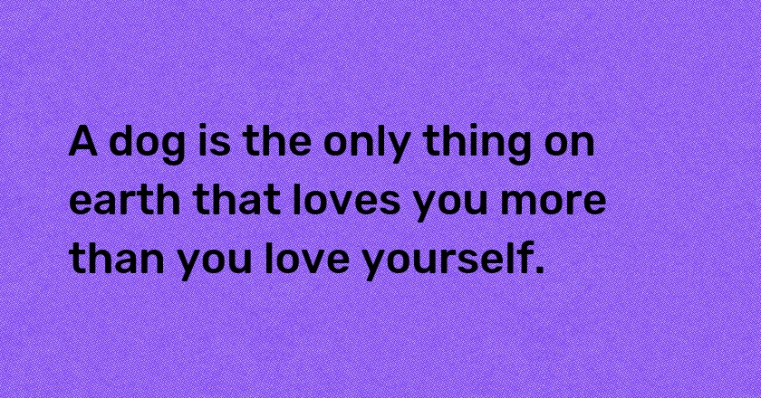 A dog is the only thing on earth that loves you more than you love yourself.