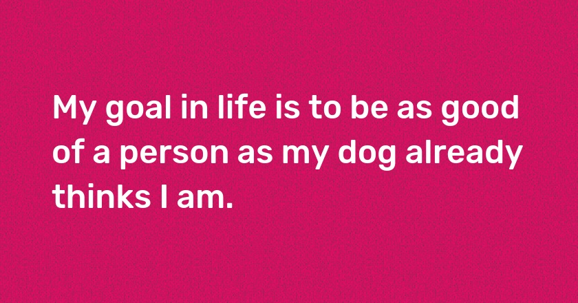 My goal in life is to be as good of a person as my dog already thinks I am.