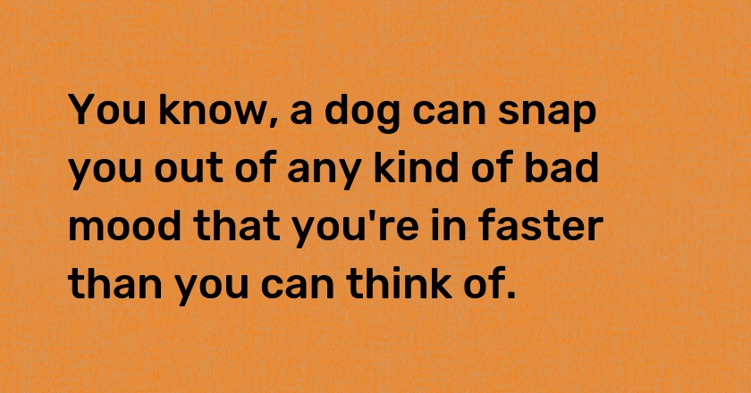 You know, a dog can snap you out of any kind of bad mood that you're in faster than you can think of.