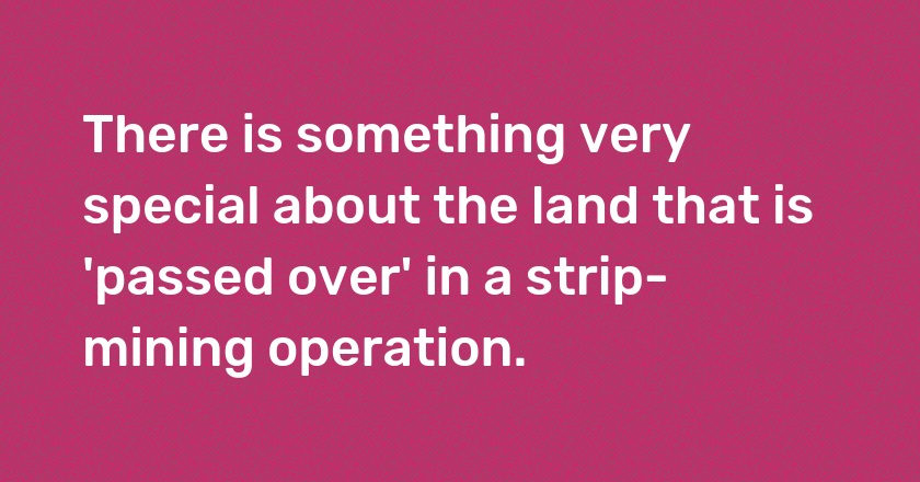 There is something very special about the land that is 'passed over' in a strip-mining operation.