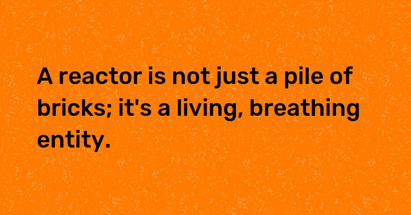 A reactor is not just a pile of bricks; it's a living, breathing entity.