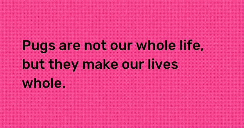 Pugs are not our whole life, but they make our lives whole.