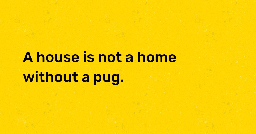 A house is not a home without a pug.