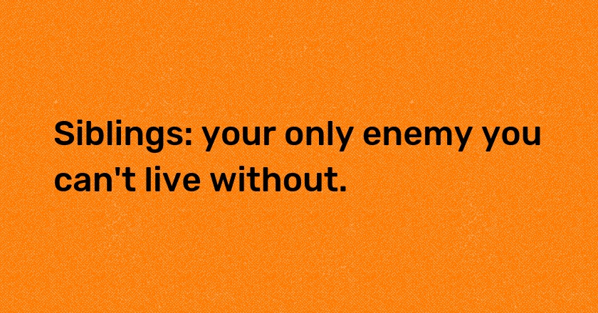 Siblings: your only enemy you can't live without.