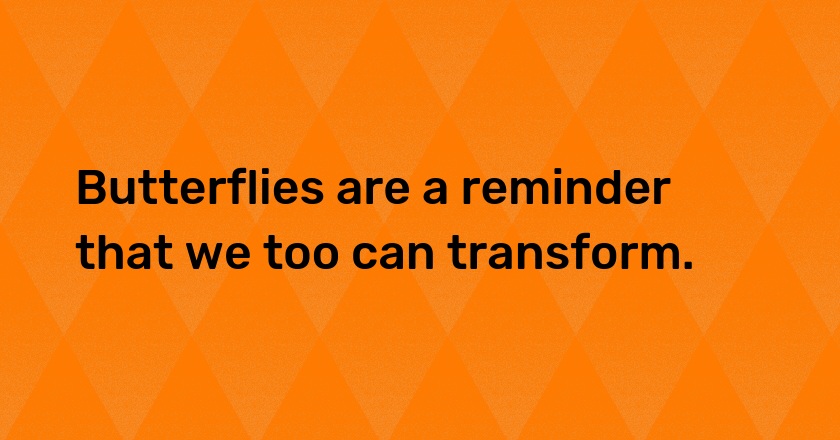 Butterflies are a reminder that we too can transform.