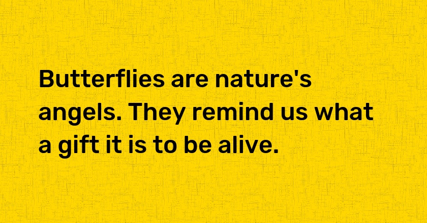 Butterflies are nature's angels. They remind us what a gift it is to be alive.