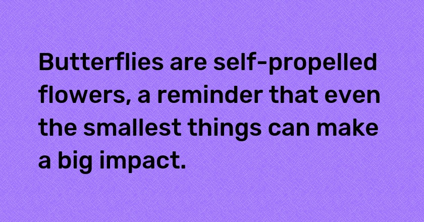 Butterflies are self-propelled flowers, a reminder that even the smallest things can make a big impact.