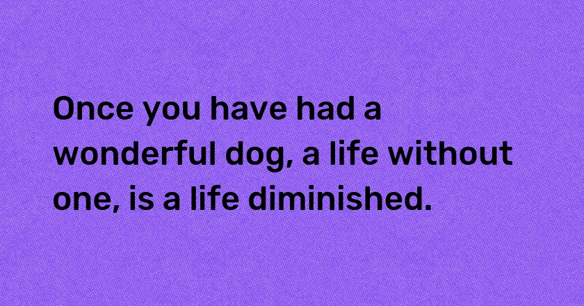 Once you have had a wonderful dog, a life without one, is a life diminished.