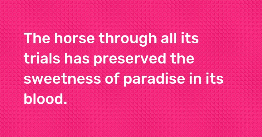 The horse through all its trials has preserved the sweetness of paradise in its blood.