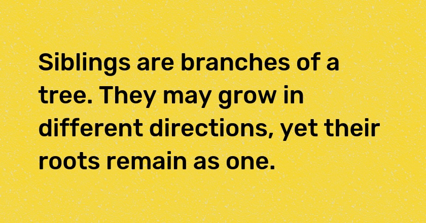 Siblings are branches of a tree. They may grow in different directions, yet their roots remain as one.