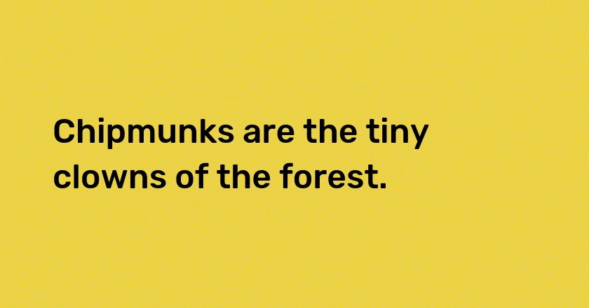 Chipmunks are the tiny clowns of the forest.