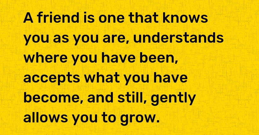 A friend is one that knows you as you are, understands where you have been, accepts what you have become, and still, gently allows you to grow.