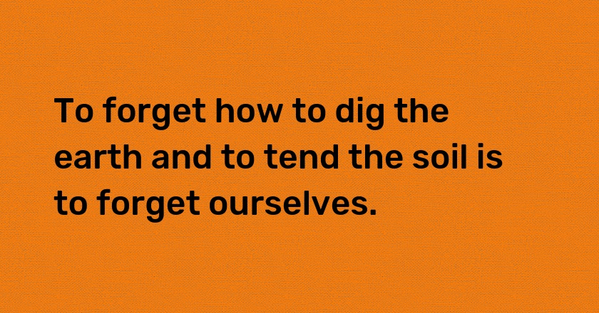 To forget how to dig the earth and to tend the soil is to forget ourselves.