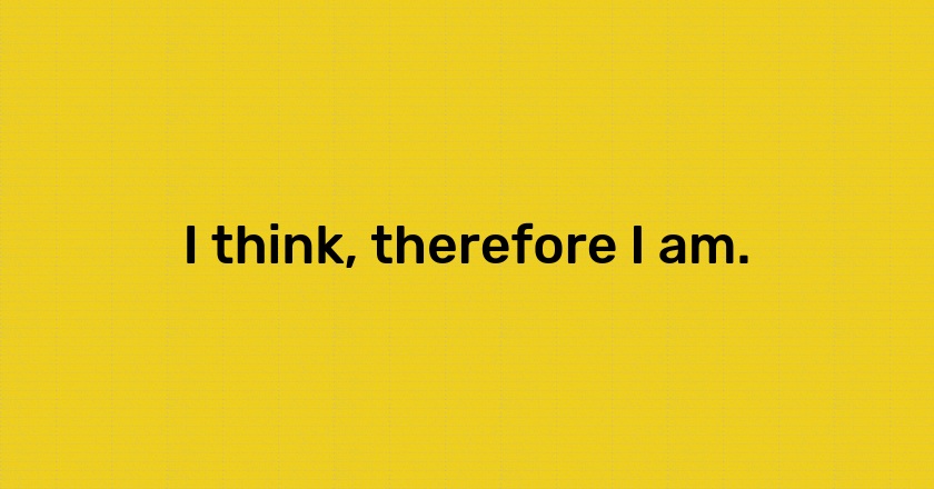 I think, therefore I am.