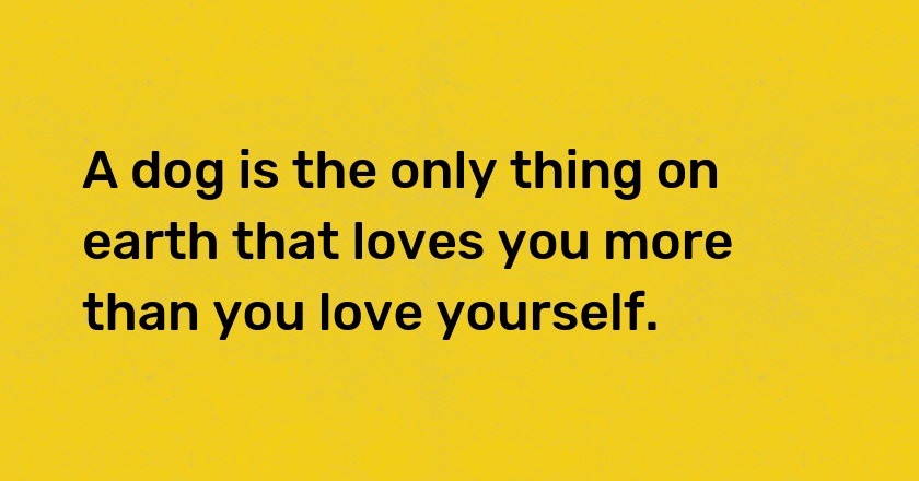 A dog is the only thing on earth that loves you more than you love yourself.