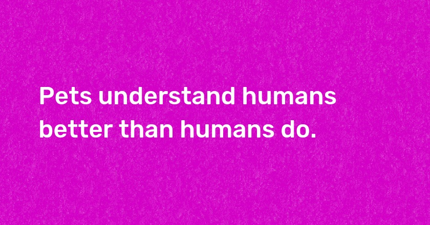 Pets understand humans better than humans do.