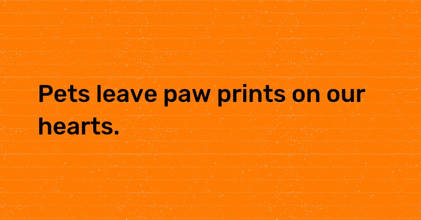 Pets leave paw prints on our hearts.