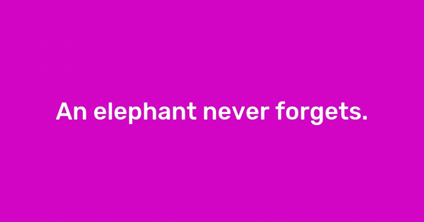 An elephant never forgets.