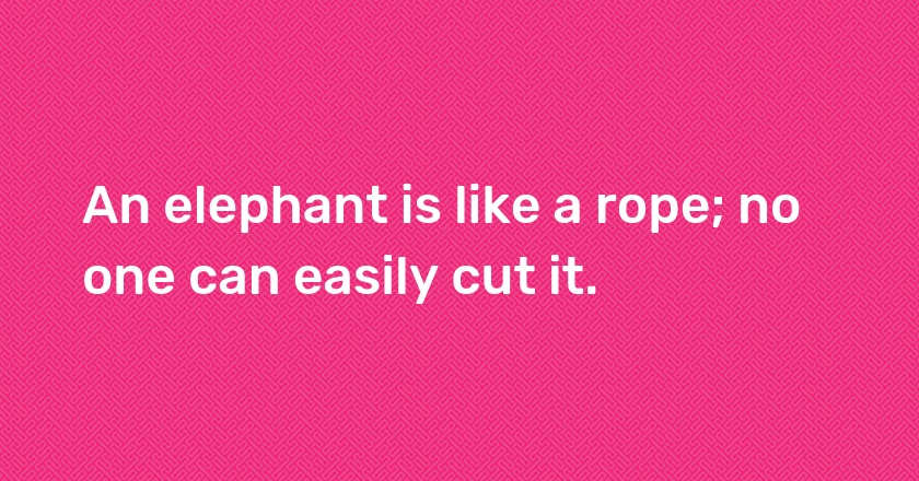 An elephant is like a rope; no one can easily cut it.