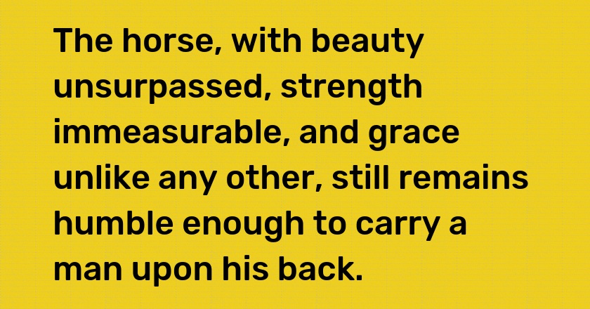 The horse, with beauty unsurpassed, strength immeasurable, and grace unlike any other, still remains humble enough to carry a man upon his back.