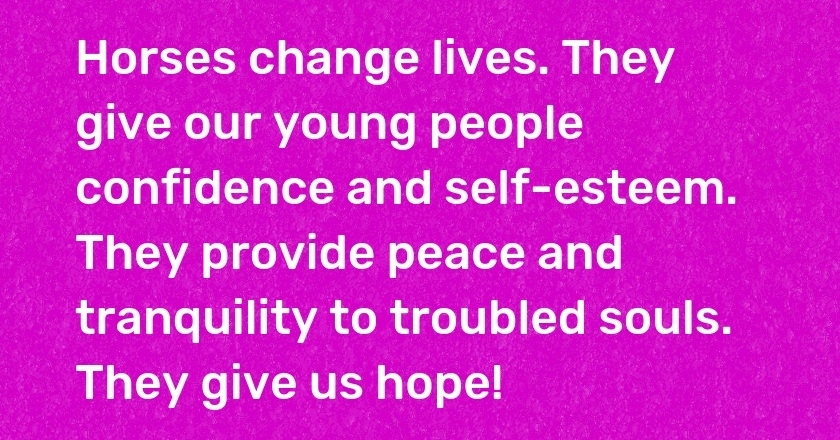 Horses change lives. They give our young people confidence and self-esteem. They provide peace and tranquility to troubled souls. They give us hope!