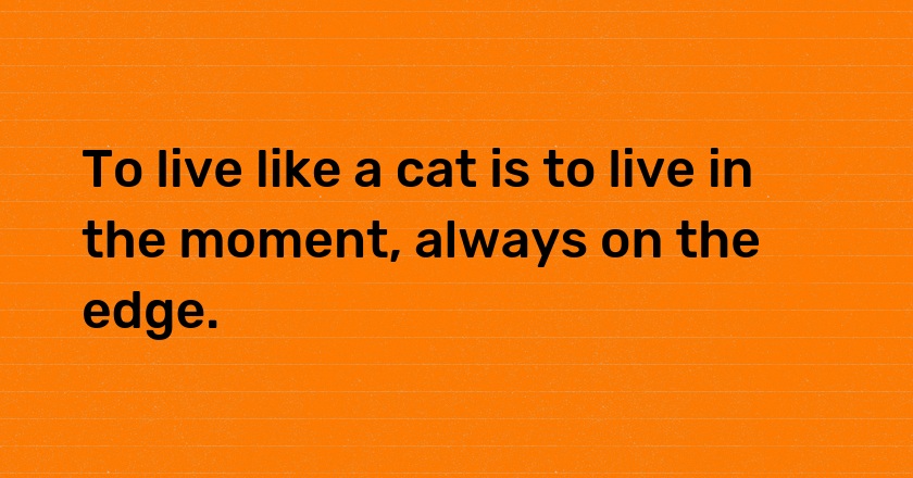 To live like a cat is to live in the moment, always on the edge.