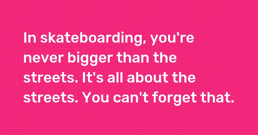In skateboarding, you're never bigger than the streets. It's all about the streets. You can't forget that.