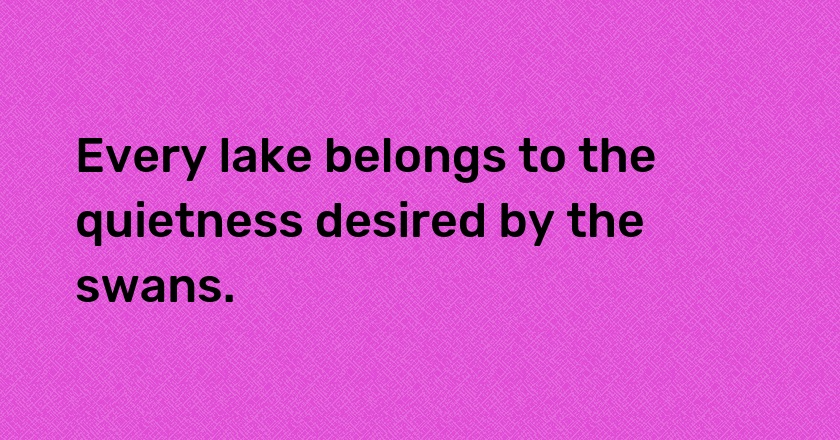 Every lake belongs to the quietness desired by the swans.