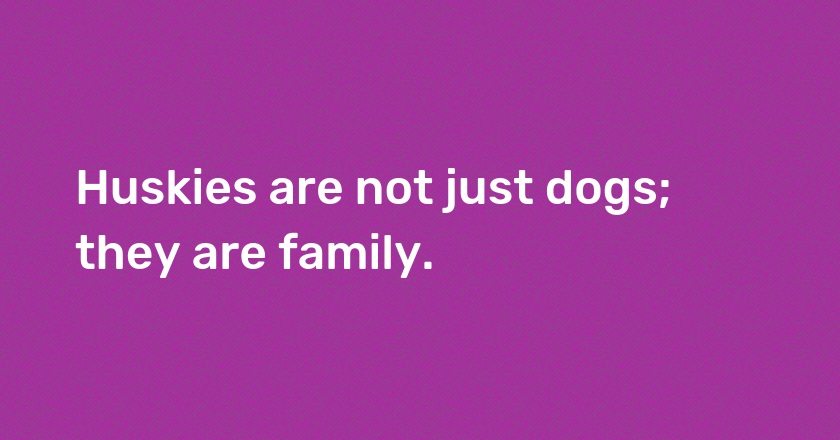 Huskies are not just dogs; they are family.