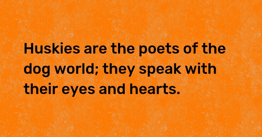 Huskies are the poets of the dog world; they speak with their eyes and hearts.